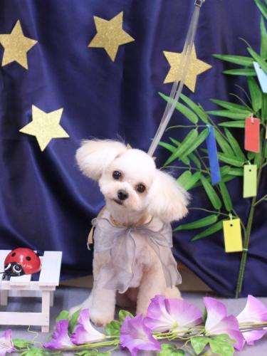 20230720シェリーちゃん